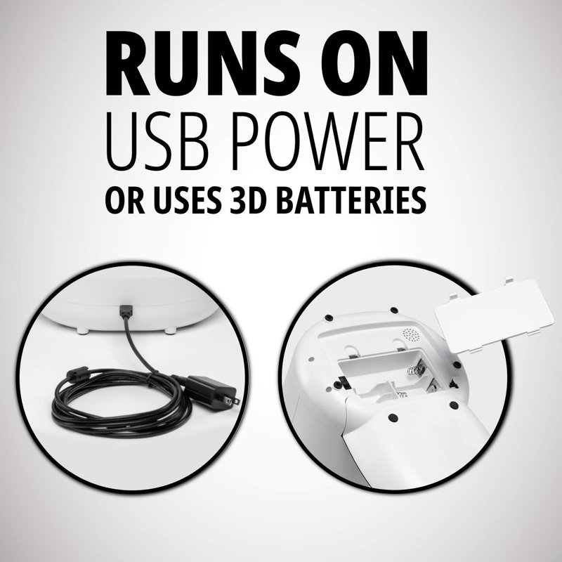 Pawple Pets Pet Automatic Feeder & Reviews Wayfair